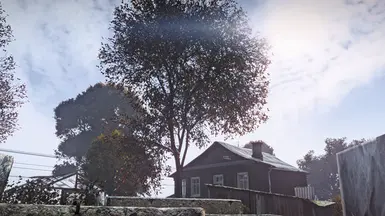 2. DayZ Subtle Single Player ReShade [ULTRA]