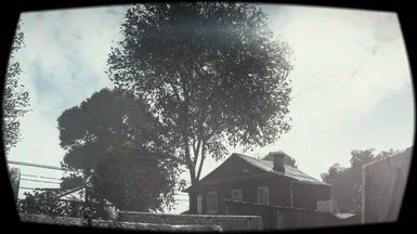 3. DayZ Subtle Single Player ReShade [FOUND FOOTAGE] 