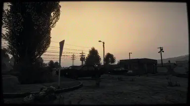 3. DayZ Subtle Single Player ReShade [FOUND FOOTAGE] 