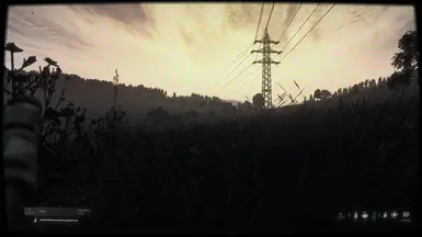 3. DayZ Subtle Single Player ReShade [FOUND FOOTAGE] 