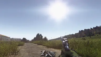 1. DayZ Subtle Single Player ReShade