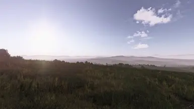 1. DayZ Subtle Single Player ReShade