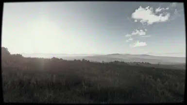3. DayZ Subtle Single Player ReShade [FOUND FOOTAGE] 