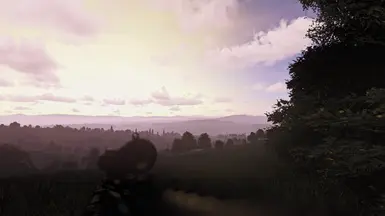 1. DayZ Subtle Single Player ReShade