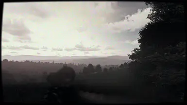 3. DayZ Subtle Single Player ReShade [FOUND FOOTAGE] 