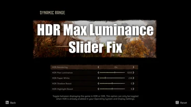 HDR Max Luminance Fix