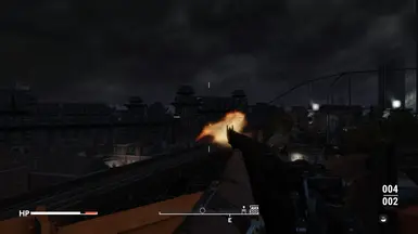 Rifle
