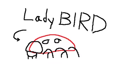 Ladybug to Ladybird