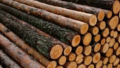Logging camp increased storage (100-150-250)