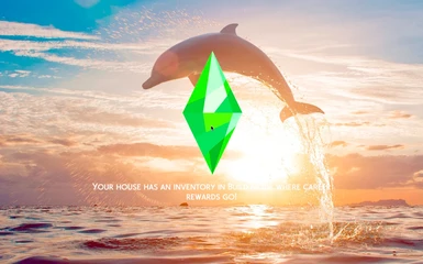 Dolphin Sunset Jump Custom Loading Screen