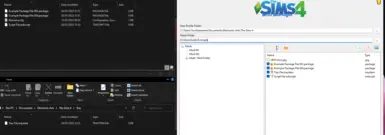 The Sims 4 Mod Manager – Raxdiam