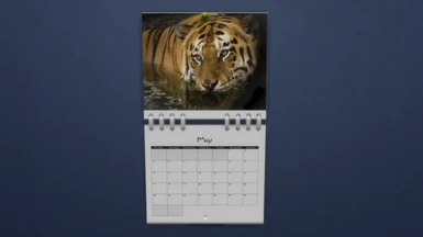 Big Cats Calendar