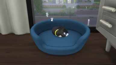 Small Pet Bed