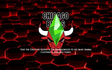 Chicago Bulls Loading Screen