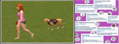 Patch for 'Take for Walk Whim' from Little MS Sam and 'Whimoverhaul for Cats and Dogs' from Sims4Me