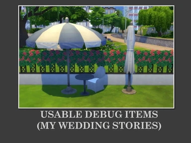 Usable Debug Items - My Wedding Stories