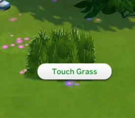 Touchable Grass