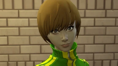 Chie Satonaka (Persona 4)