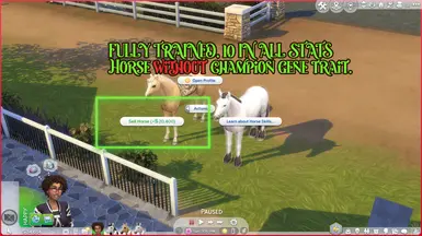 Champion Gene Horses Sell for More at The Sims 4 Nexus - Mods and community