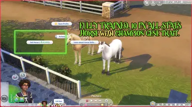 Champion Gene Horses Sell for More at The Sims 4 Nexus - Mods and community