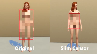 Slim Censor