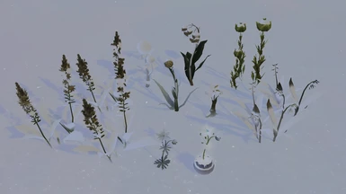 Look in the winter. Snow generated by the game and may look weird.in some places.