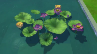 Just a mix of all Lotus options