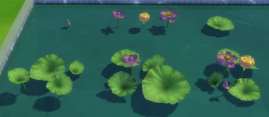 5 separated versions of the lotus at the top and 3 variants at the bottom