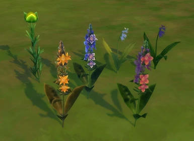 separated versions of the plants from version 1.1