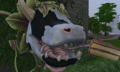 Closer look on the 2k cowplant