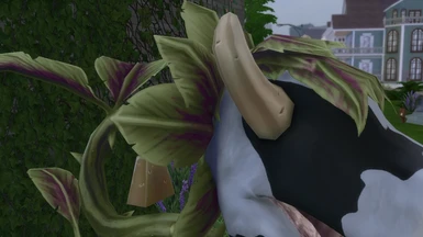 Closer look on the 2k cowplant
