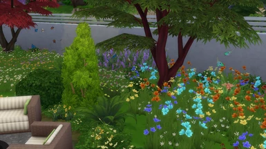example of garden with insect spawners.