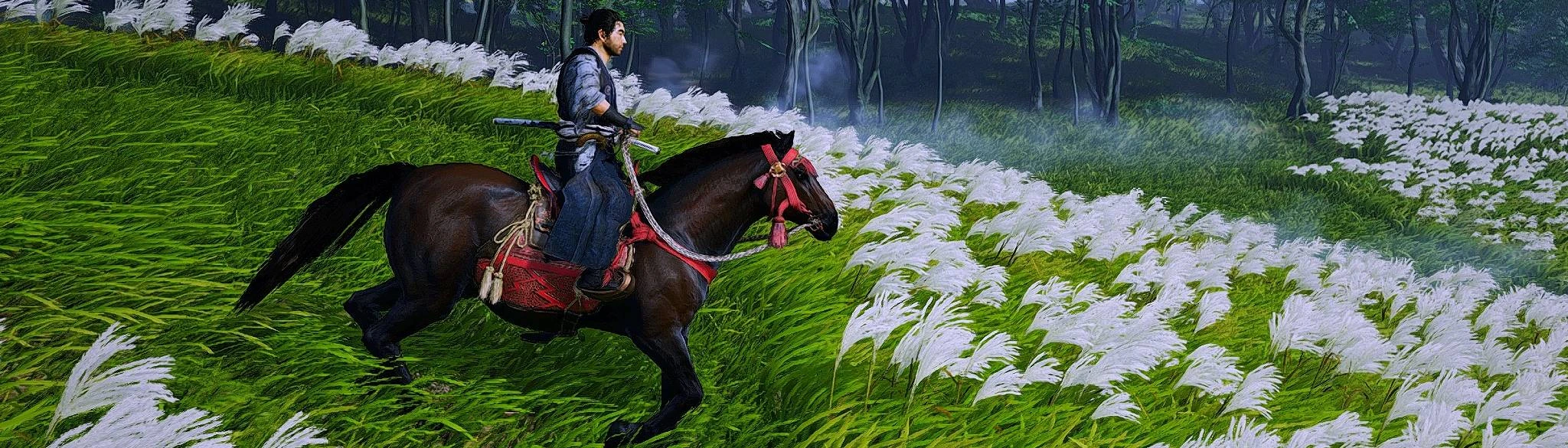 Digital Deluxe Horse Different Coats at Ghost of Tsushima Director's