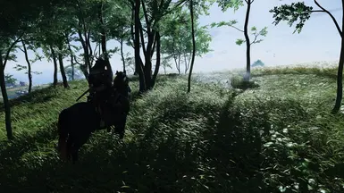 Vanilla