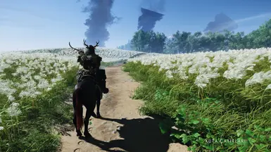 Vanilla