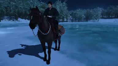 Jin's Intro Horse