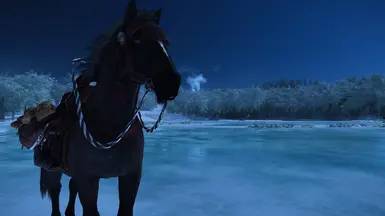 Jin's Intro Horse