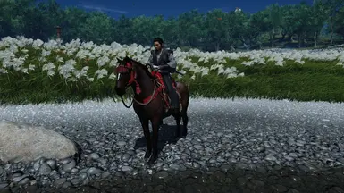 Jin's Intro Horse