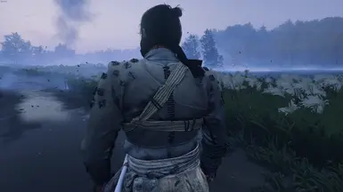 No Ghost Armor Sword