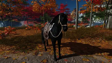 Pure Black