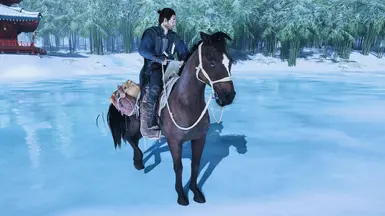 Brown Thin Horse -- Different Coats