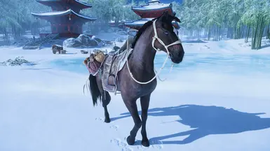 Jin's Intro Horse
