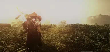 Seoka Cinematic