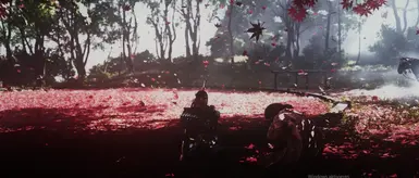 Seoka CInematic