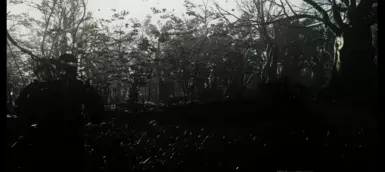 Seoka Cinematic(quite too dark here unfortunatalely)