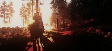 Seoka Cinematic