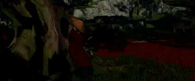 v1.2