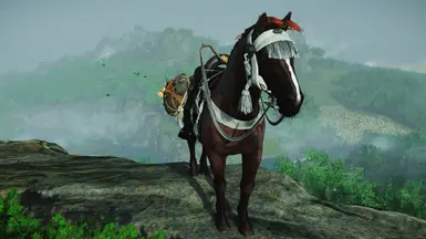 Bay Roan