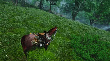 Bay Roan