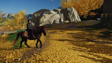 Jin's Intro Horse